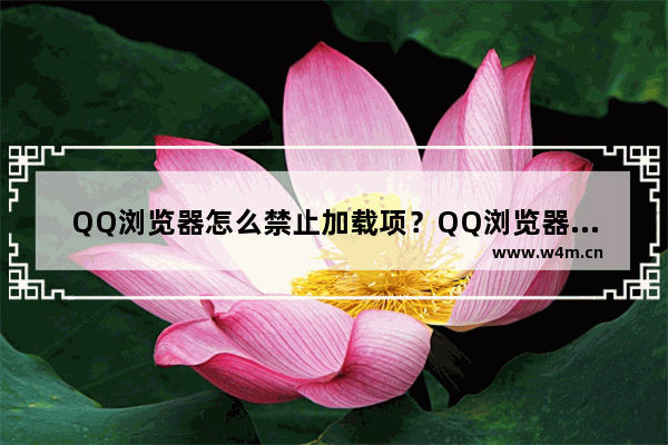 QQ浏览器怎么禁止加载项？QQ浏览器禁止加载项步骤分享