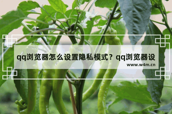 qq浏览器怎么设置隐私模式？qq浏览器设置隐私模式步骤分享