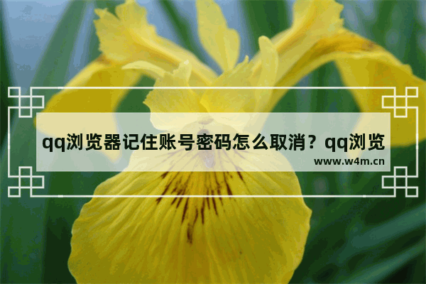 qq浏览器记住账号密码怎么取消？qq浏览器取消记住账号密码方法分享