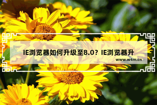 IE浏览器如何升级至8.0？IE浏览器升级至8.0的方法介绍