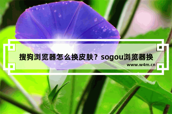 搜狗浏览器怎么换皮肤？sogou浏览器换皮肤方法分享