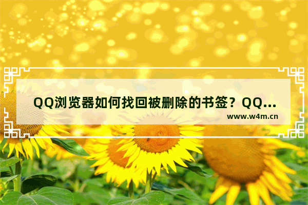 QQ浏览器如何找回被删除的书签？QQ浏览器找回被删除书签方法分享