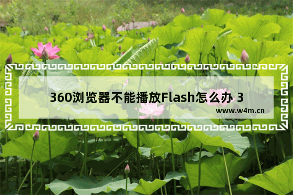 360浏览器不能播放Flash怎么办 360浏览器播放flash方式一览