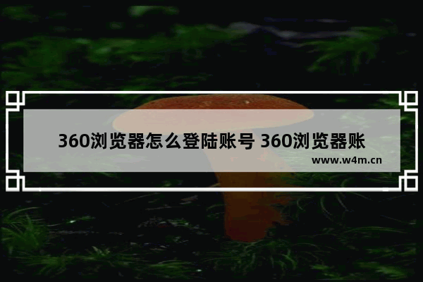 360浏览器怎么登陆账号 360浏览器账号登入方式全览