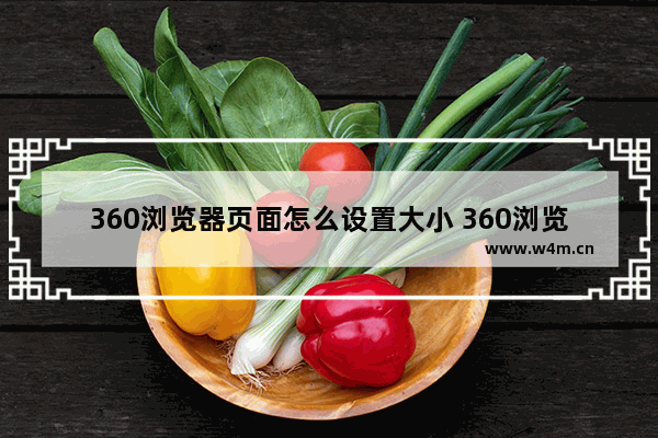 360浏览器页面怎么设置大小 360浏览器页面大小设置方法分享