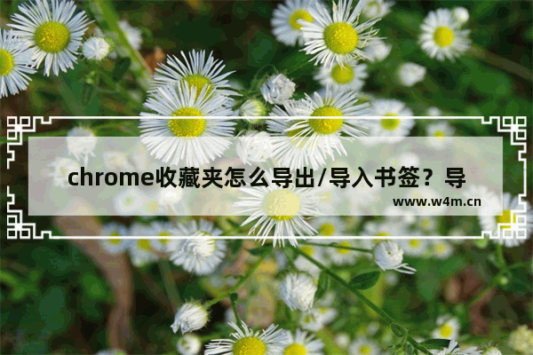 chrome收藏夹怎么导出/导入书签？导出/导入书签的方法介绍