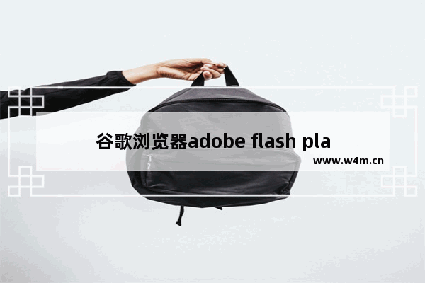 谷歌浏览器adobe flash player已过期怎么解决？已过期的解决步骤分享