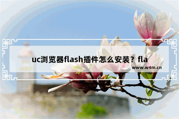 uc浏览器flash插件怎么安装？flash插件安装方法说明