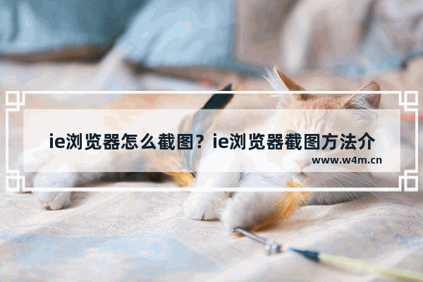 ie浏览器怎么截图？ie浏览器截图方法介绍