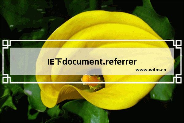 IE下document.referrer拒绝访问怎么解决？拒绝访问解决方法介绍