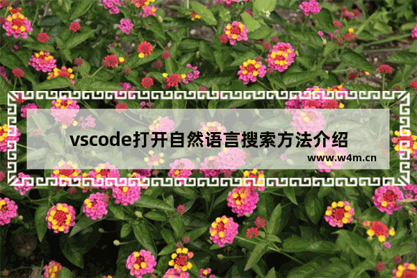 vscode打开自然语言搜索方法介绍