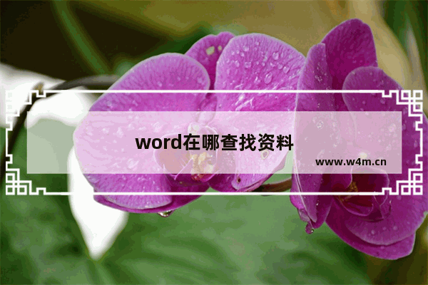 word在哪查找资料