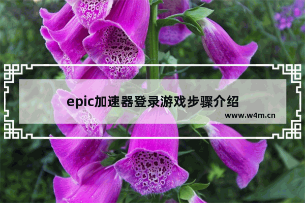 epic加速器登录游戏步骤介绍