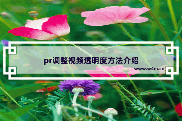 pr调整视频透明度方法介绍