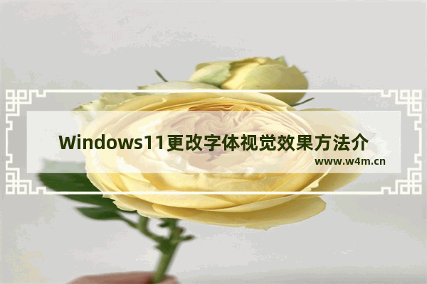 Windows11更改字体视觉效果方法介绍