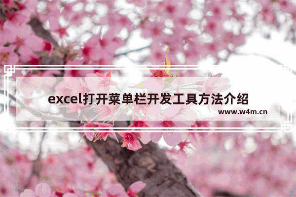 excel打开菜单栏开发工具方法介绍