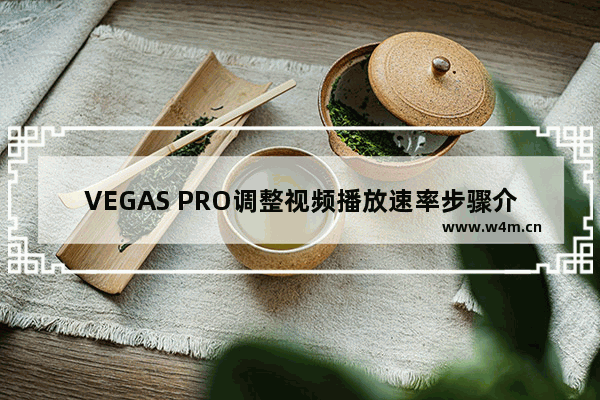 VEGAS PRO调整视频播放速率步骤介绍