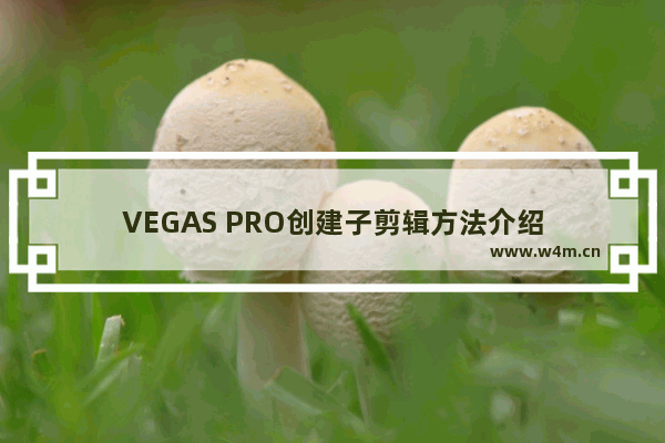 VEGAS PRO创建子剪辑方法介绍