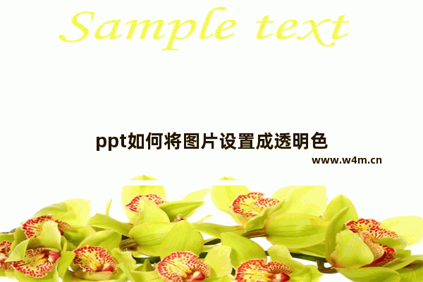 ppt如何将图片设置成透明色