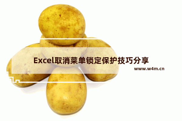 Excel取消菜单锁定保护技巧分享