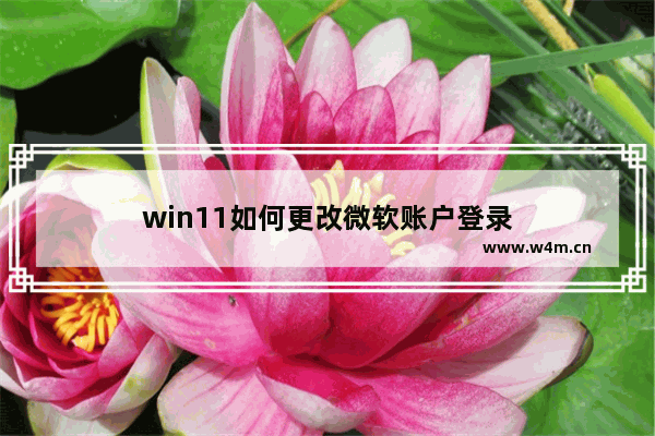 win11如何更改微软账户登录