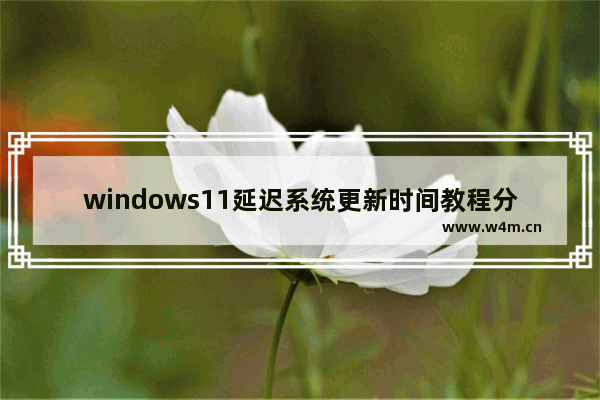 windows11延迟系统更新时间教程分享