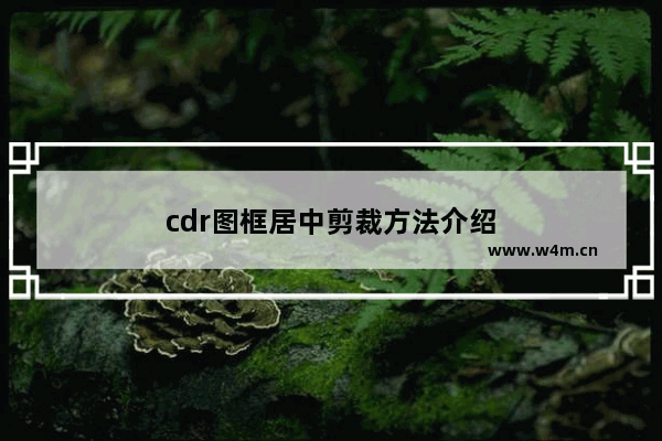 cdr图框居中剪裁方法介绍