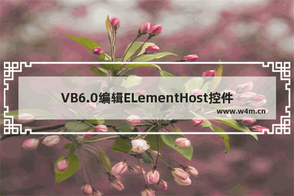 VB6.0编辑ELementHost控件继承对象方法介绍