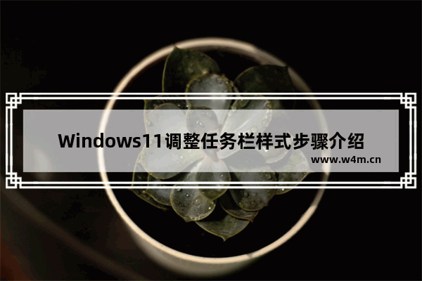 Windows11调整任务栏样式步骤介绍