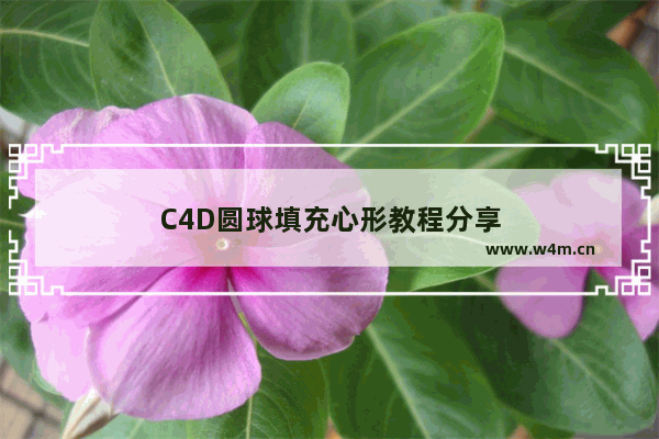 C4D圆球填充心形教程分享