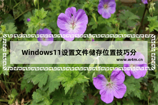 Windows11设置文件储存位置技巧分享