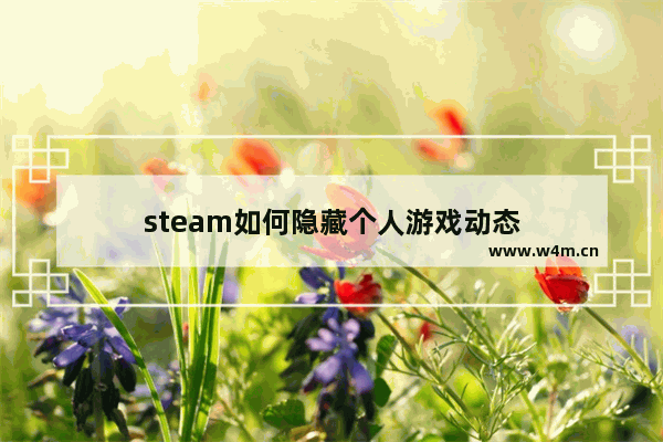 steam如何隐藏个人游戏动态