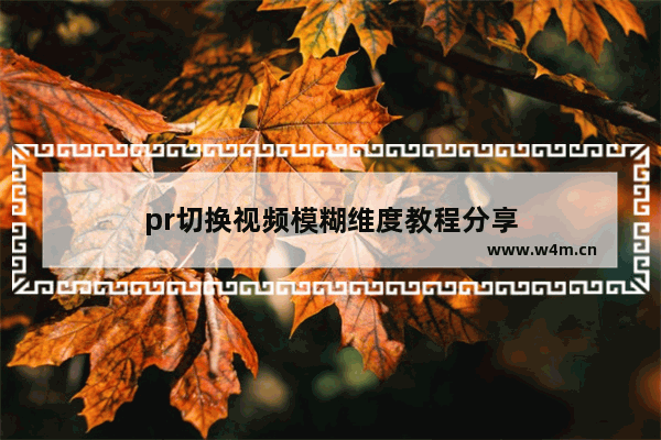 pr切换视频模糊维度教程分享