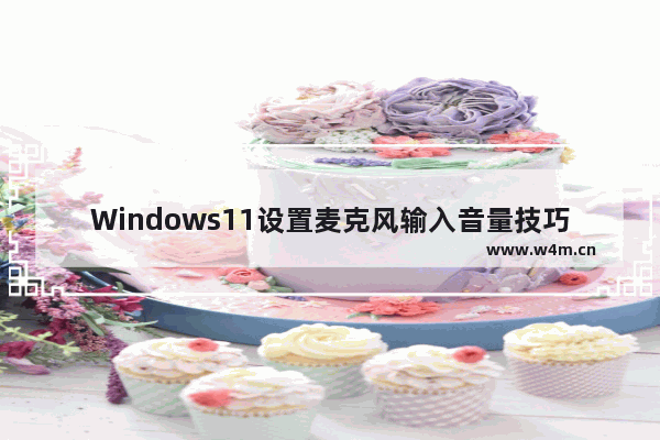 Windows11设置麦克风输入音量技巧分享