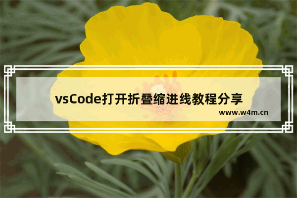 vsCode打开折叠缩进线教程分享