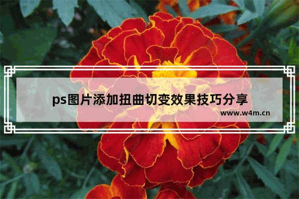 ps图片添加扭曲切变效果技巧分享