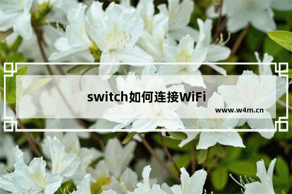 switch如何连接WiFi