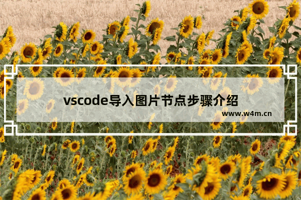 vscode导入图片节点步骤介绍