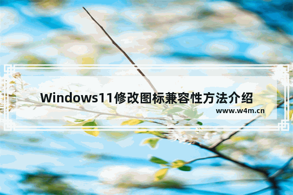 Windows11修改图标兼容性方法介绍