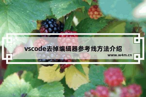 vscode去掉编辑器参考线方法介绍