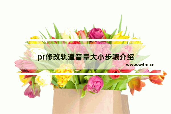 pr修改轨道音量大小步骤介绍