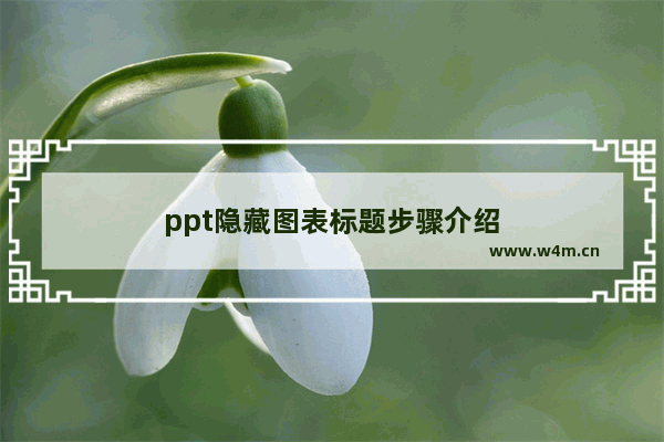 ppt隐藏图表标题步骤介绍