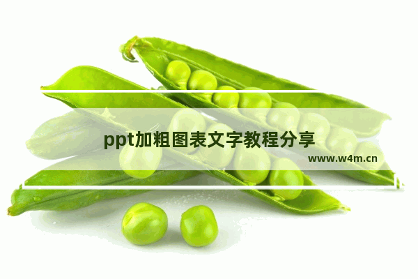 ppt加粗图表文字教程分享