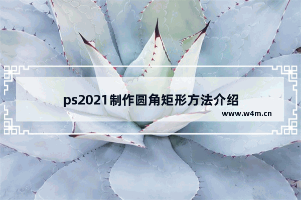 ps2021制作圆角矩形方法介绍