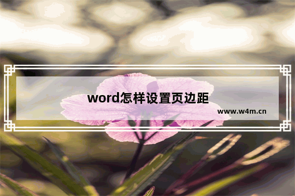 word怎样设置页边距