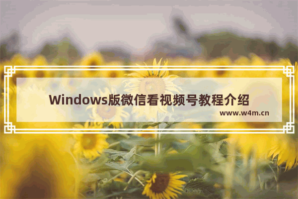 Windows版微信看视频号教程介绍