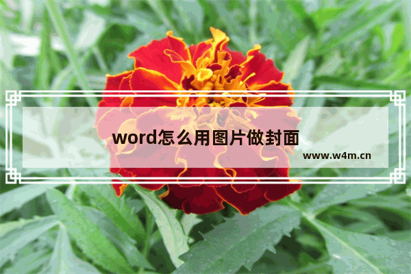 word怎么用图片做封面