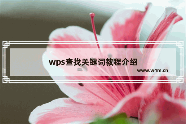 wps查找关键词教程介绍