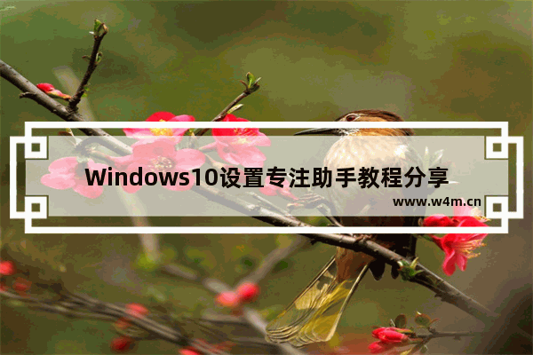 Windows10设置专注助手教程分享