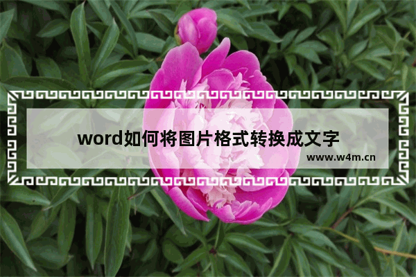 word如何将图片格式转换成文字